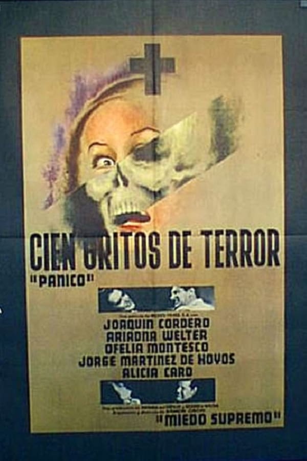 Cover of the movie 100 Cries of Terror