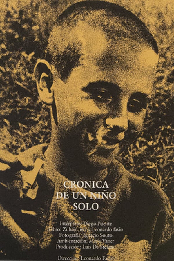 Cover of the movie Chronicle of a Boy Alone