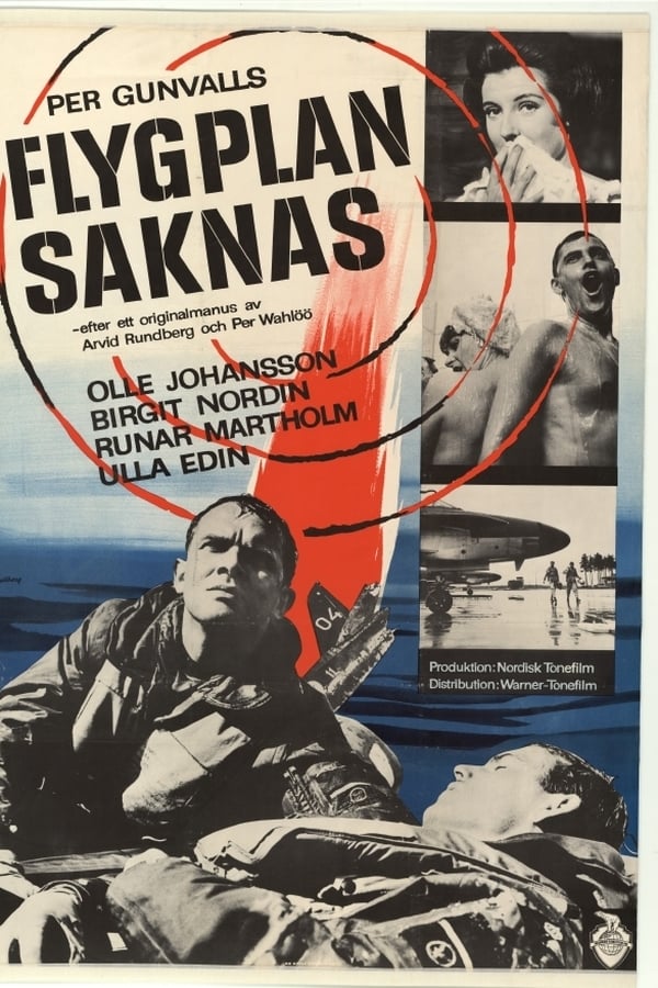 Cover of the movie Flygplan saknas