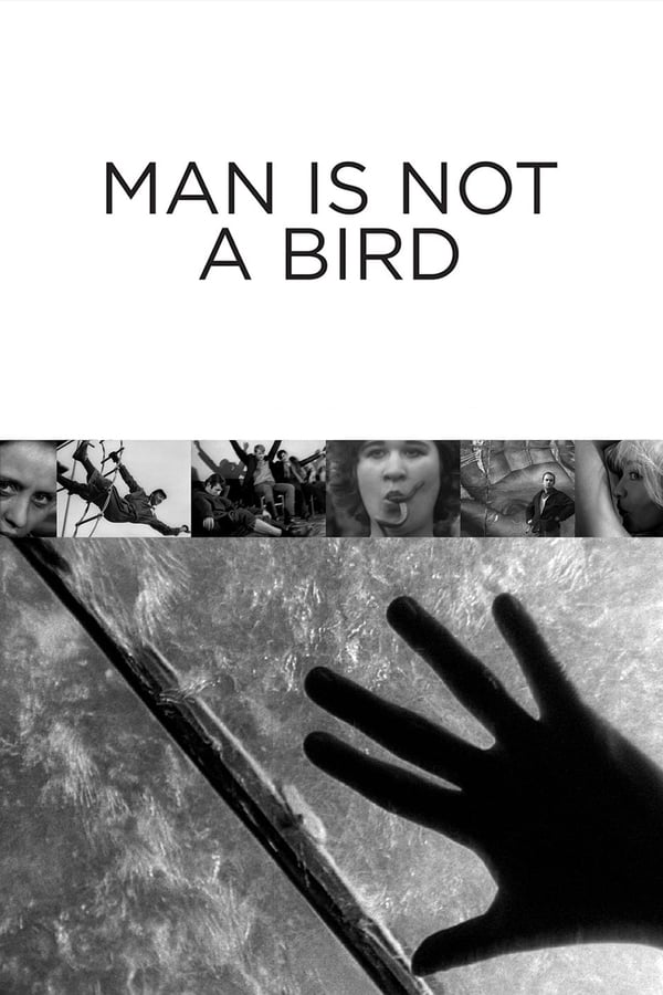 Cover of the movie Man Is Not a Bird