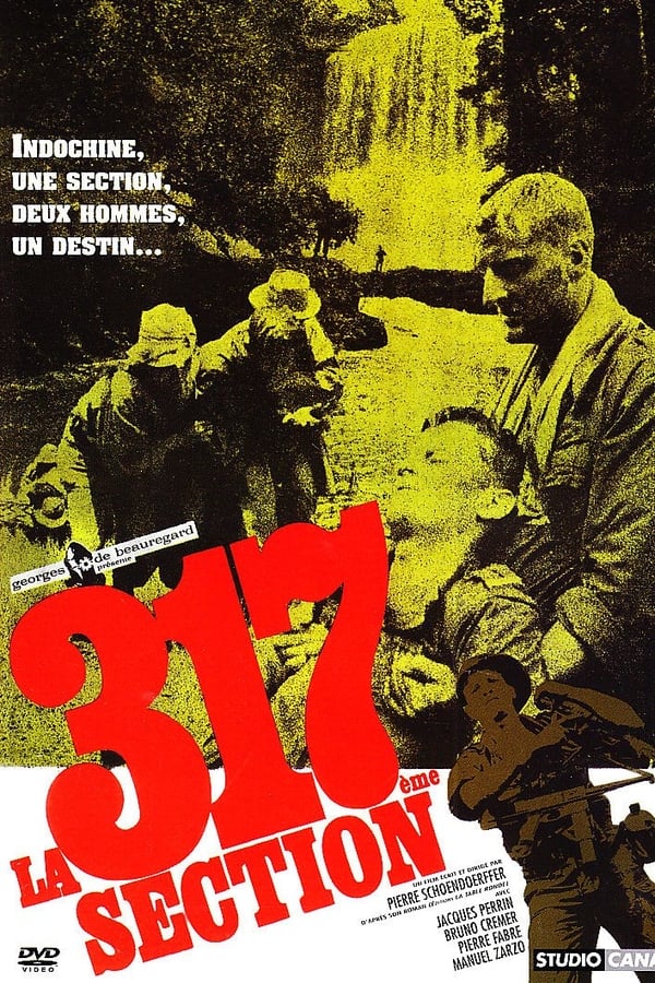 Cover of the movie The 317th Platoon
