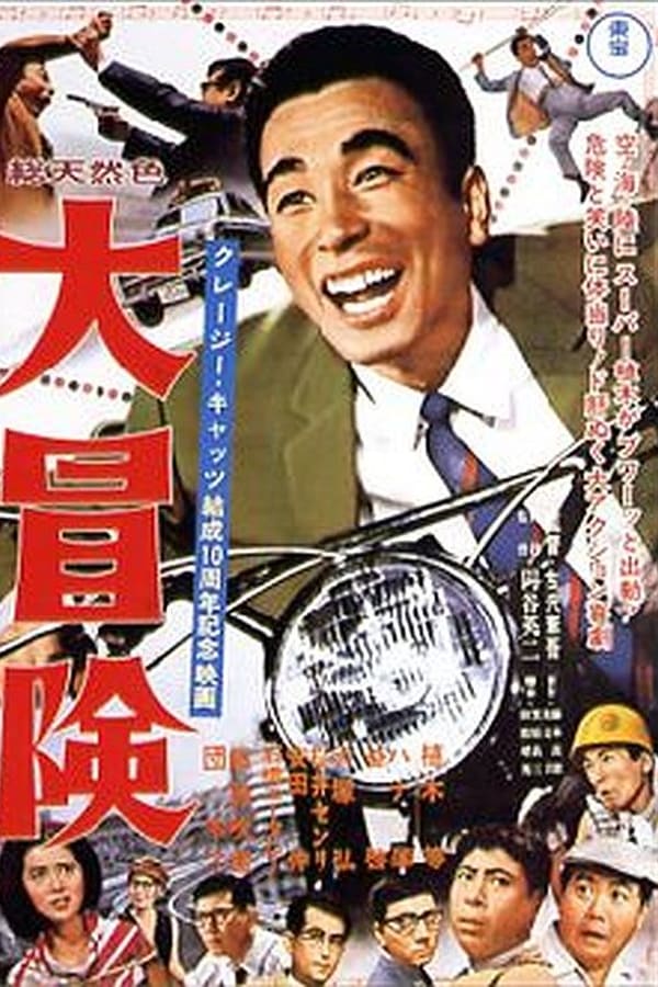 Cover of the movie The Crazy Adventure