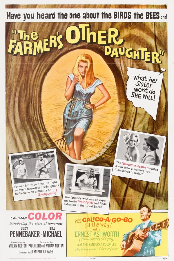 Cover of the movie The Farmer's Other Daughter