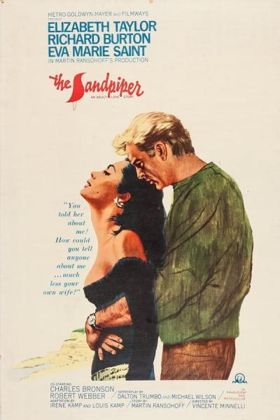 Cover of the movie The Sandpiper