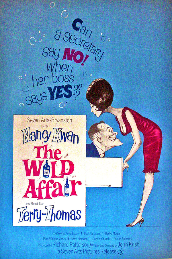 Cover of the movie The Wild Affair