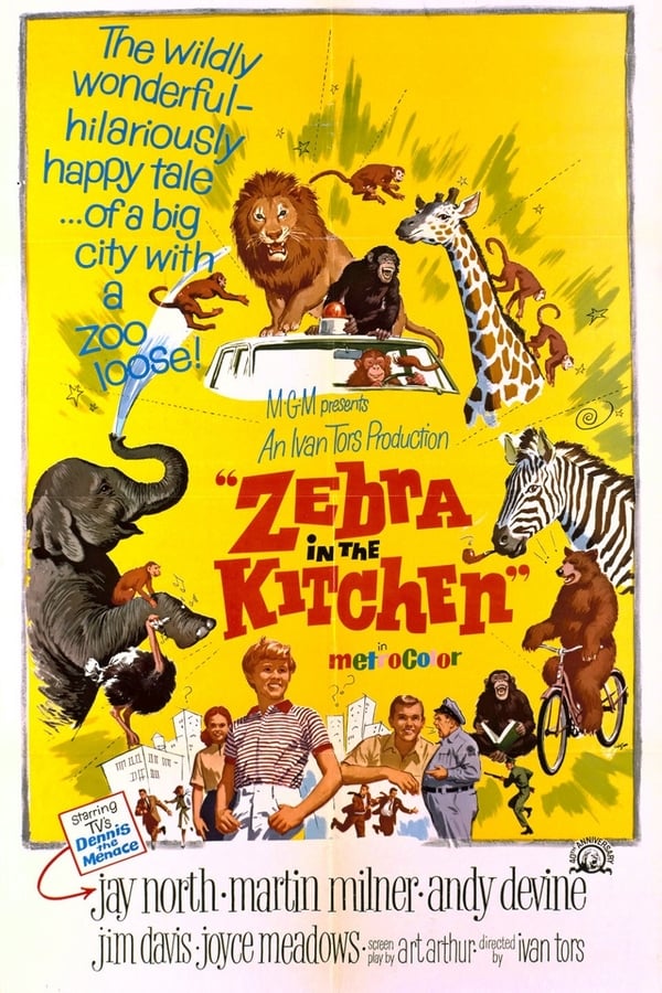 Cover of the movie Zebra in the Kitchen