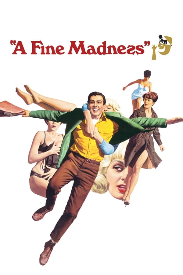 Cover of the movie A Fine Madness