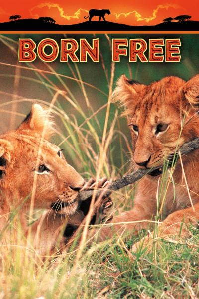 Cover of Born Free