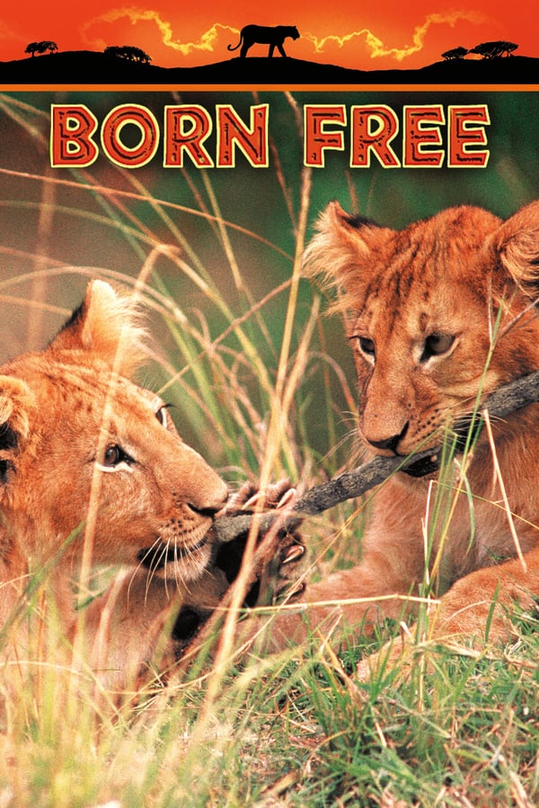 Cover of the movie Born Free
