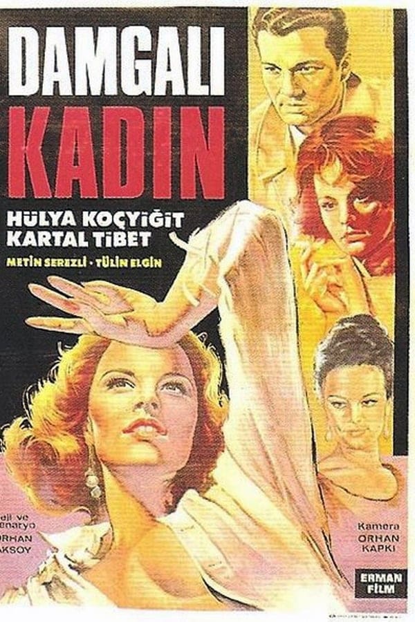 Cover of the movie Damgalı Kadın
