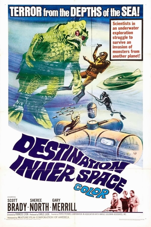 Cover of the movie Destination Inner Space