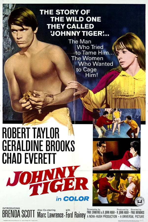 Cover of the movie Johnny Tiger