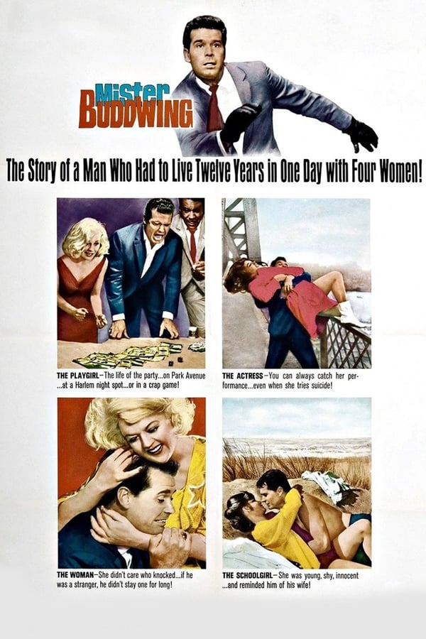 Cover of the movie Mister Buddwing