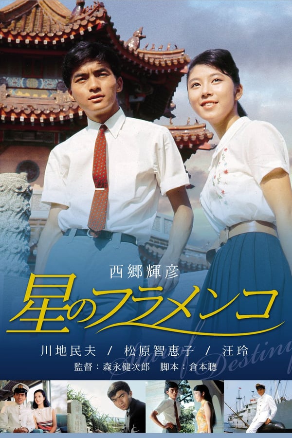 Cover of the movie Star of Destiny
