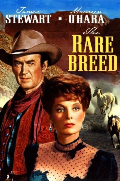 Cover of The Rare Breed