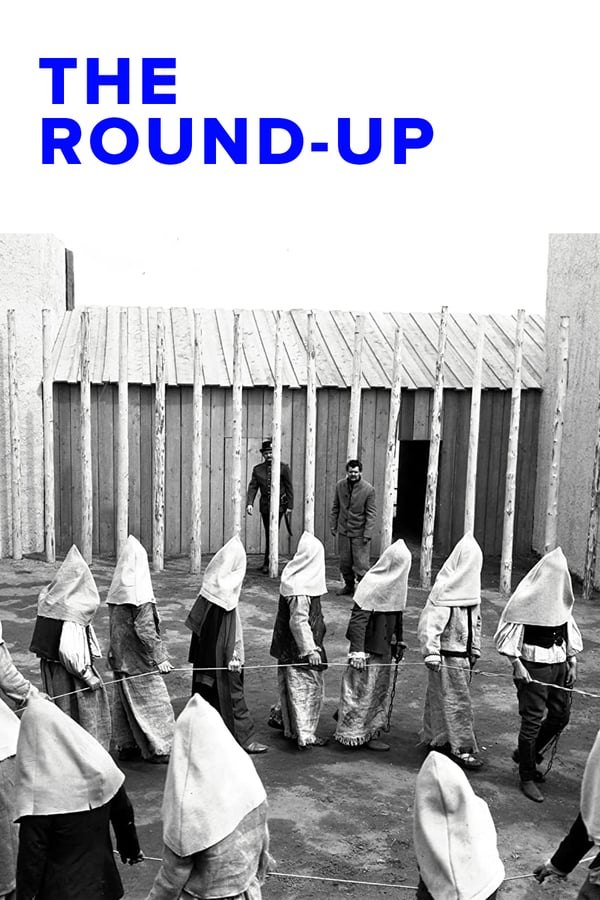 Cover of the movie The Round-Up