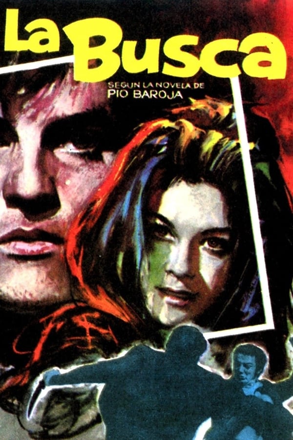 Cover of the movie The Search