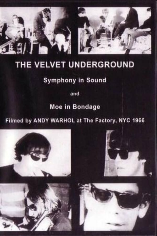 Cover of the movie The Velvet Underground and Nico
