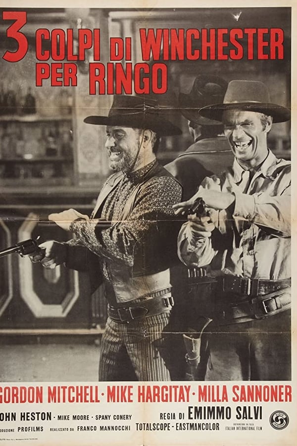 Cover of the movie Three Bullets for Ringo