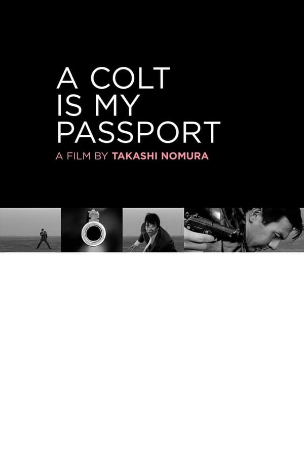 Cover of the movie A Colt Is My Passport