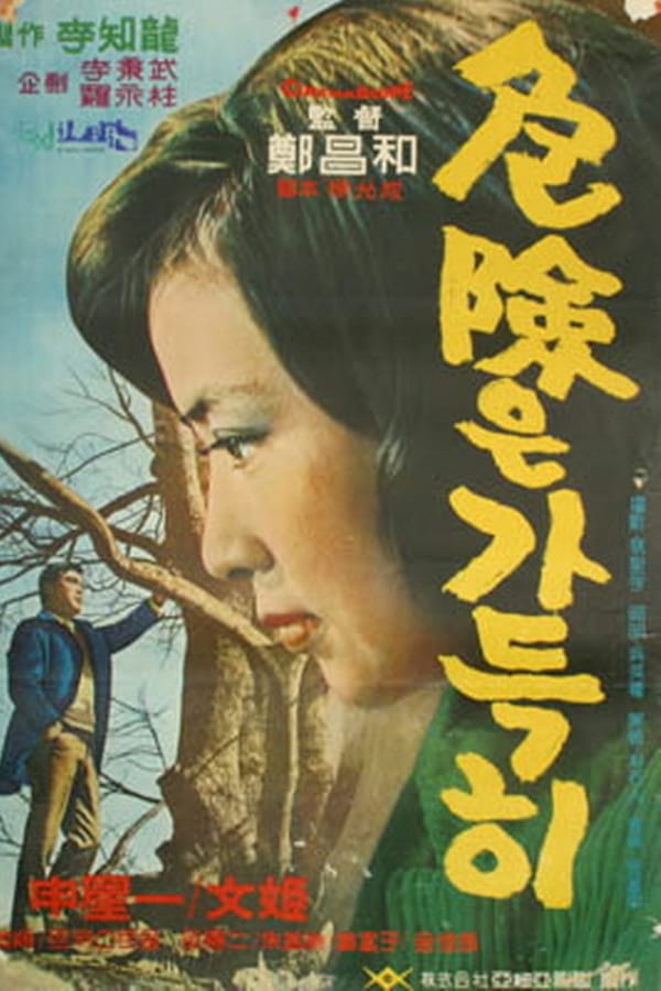 Cover of the movie A Full Danger