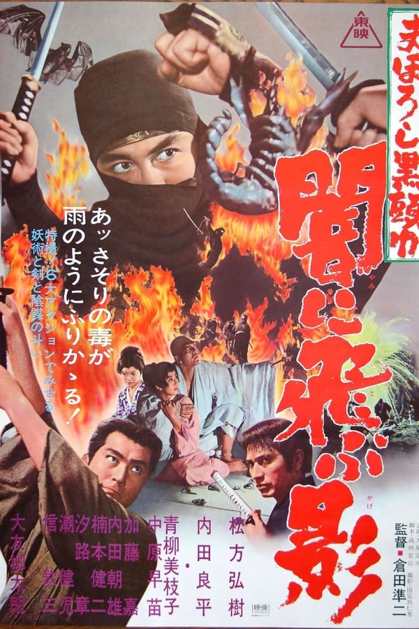 Cover of the movie Black Ninja