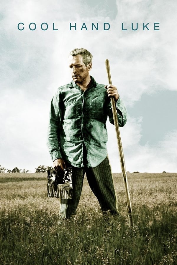 Cover of the movie Cool Hand Luke
