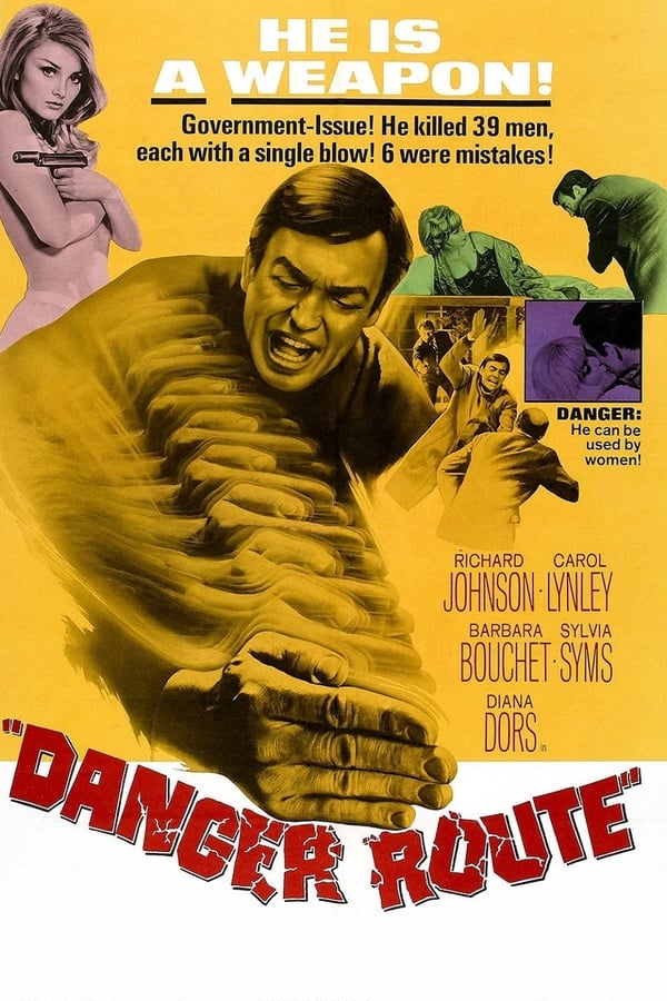 Cover of the movie Danger Route