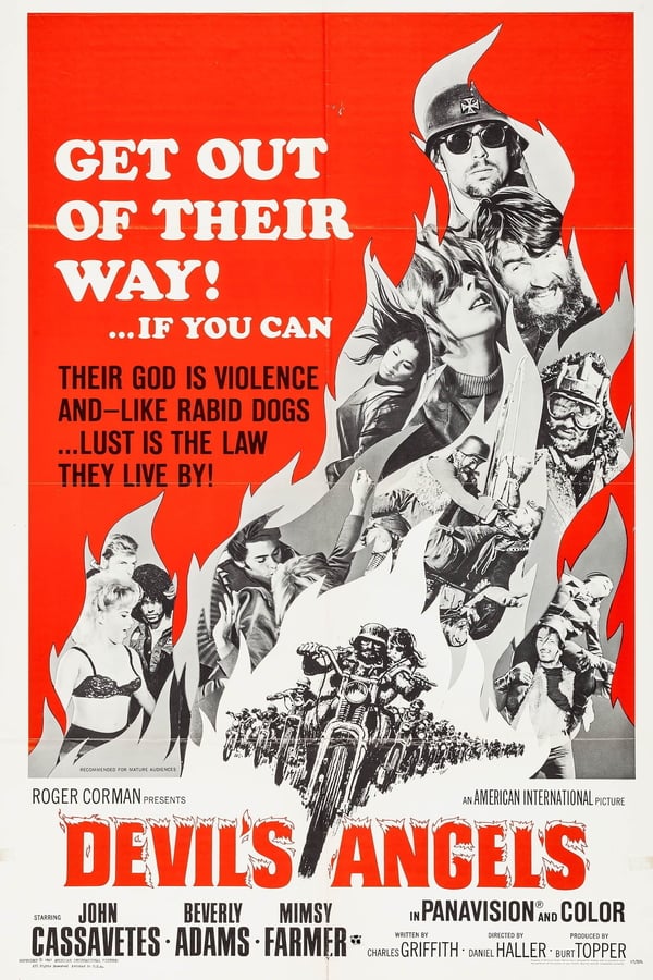 Cover of the movie Devil's Angels