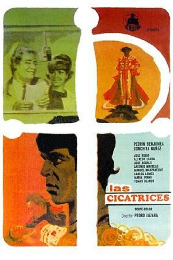 Cover of the movie Las cicatrices