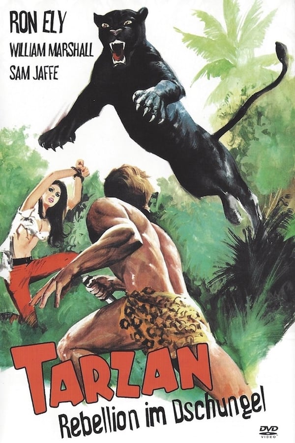 Cover of the movie Tarzan's Jungle Rebellion