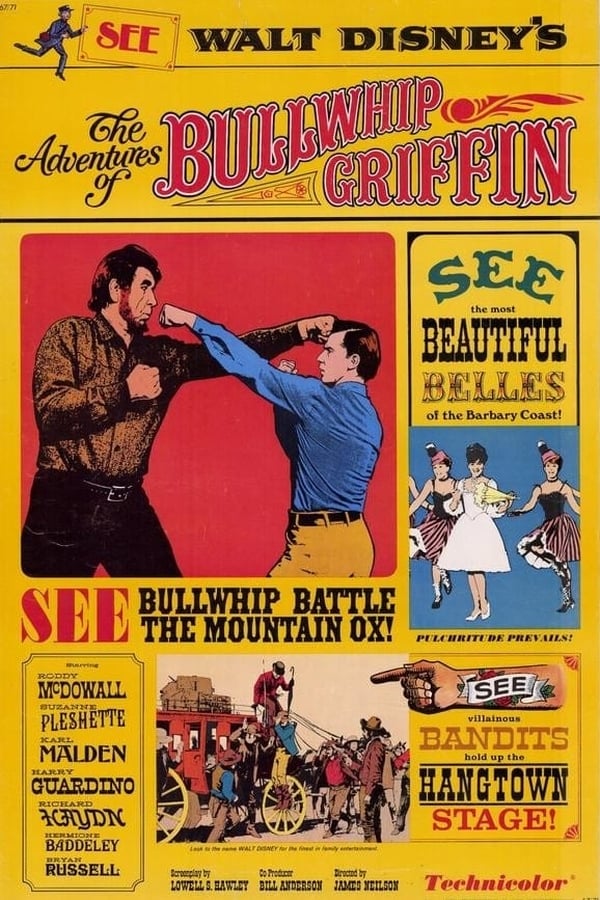 Cover of the movie The Adventures of Bullwhip Griffin