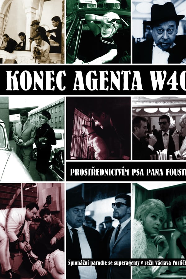 Cover of the movie The End of Agent W4C