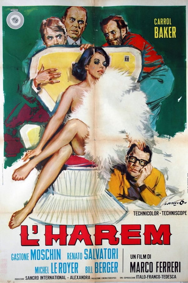 Cover of the movie The Harem