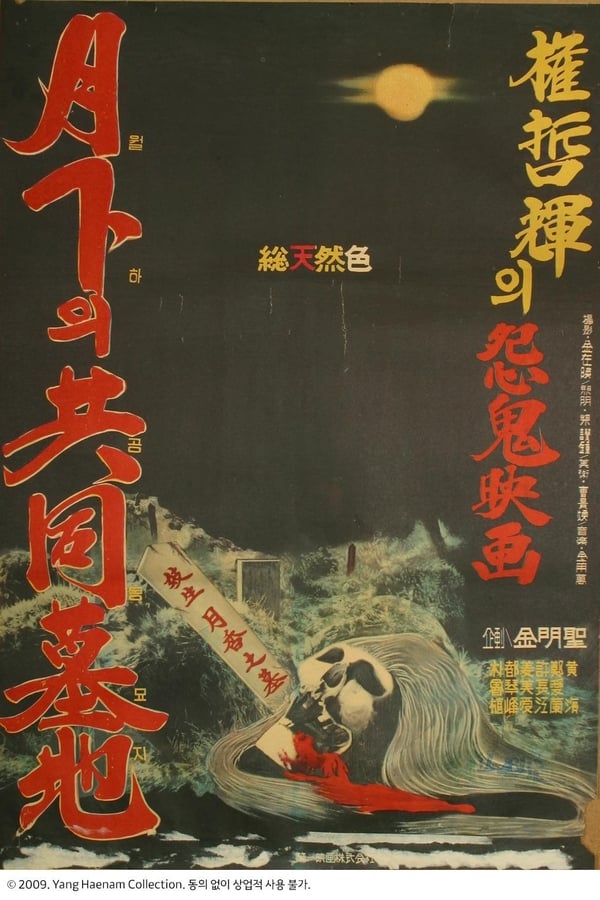 Cover of the movie The Public Cemetery Under the Moon