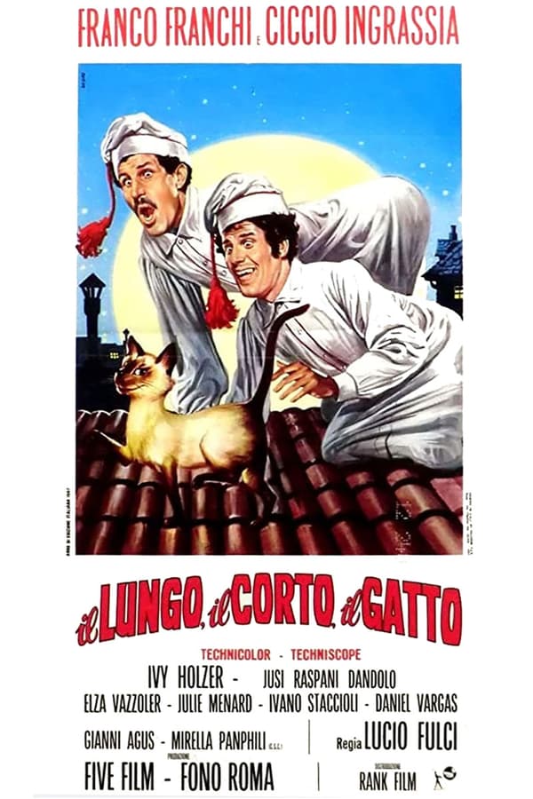 Cover of the movie The Tall, the Short, the Cat