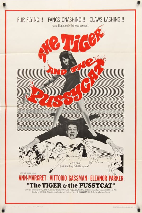 Cover of the movie The Tiger and the Pussycat