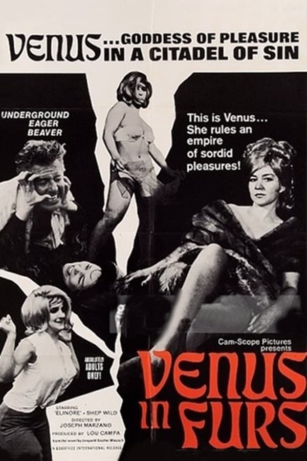Cover of the movie Venus in Furs