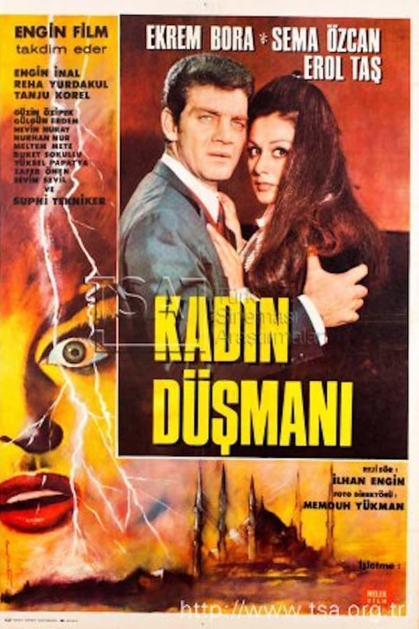 Cover of the movie Woman Despiser