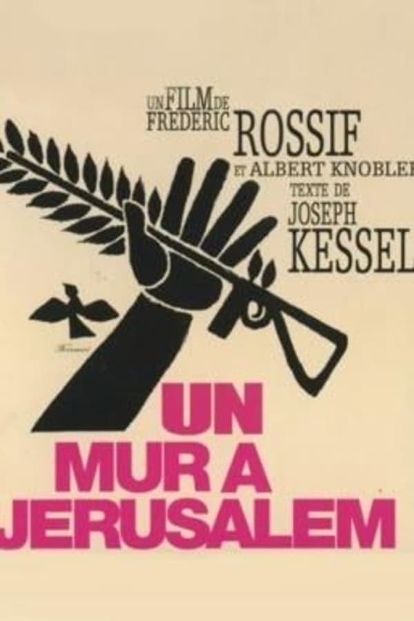 Cover of the movie A Wall in Jerusalem