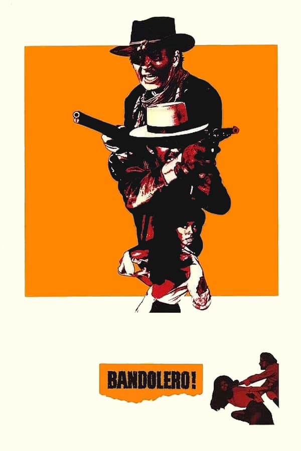 Cover of the movie Bandolero!