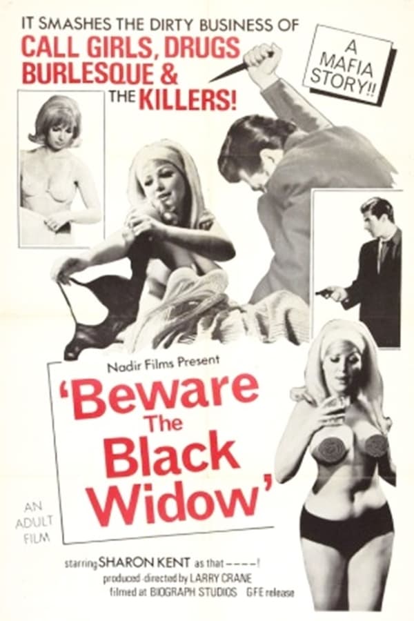 Cover of the movie Beware the Black Widow