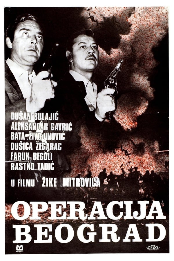 Cover of the movie Case Belgrade