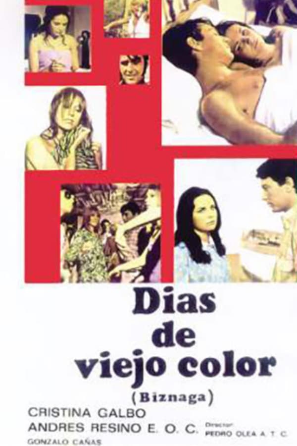 Cover of the movie Días de viejo color