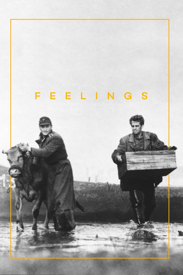 Cover of the movie Feelings