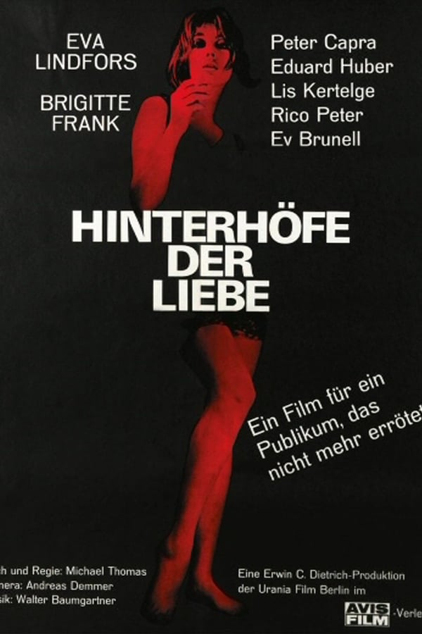 Cover of the movie Hinterhöfe der Liebe