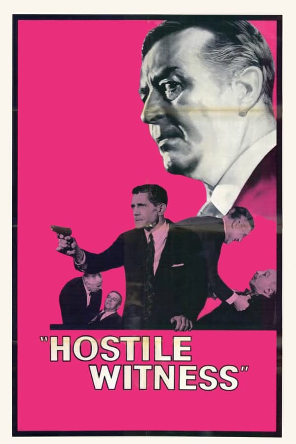 Cover of the movie Hostile Witness
