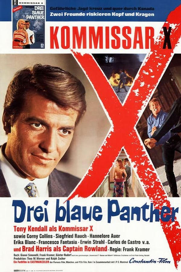Cover of the movie Kill, Panther, Kill!