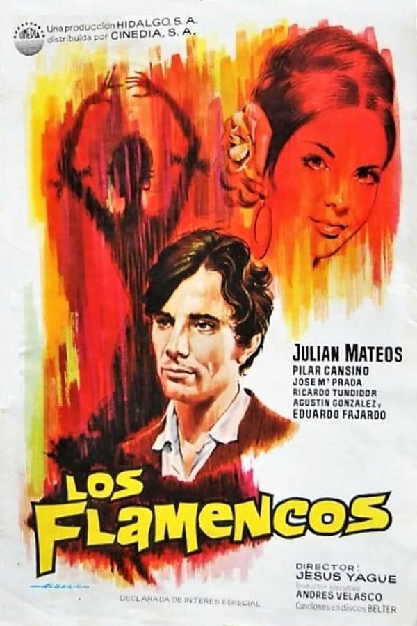 Cover of the movie Los flamencos