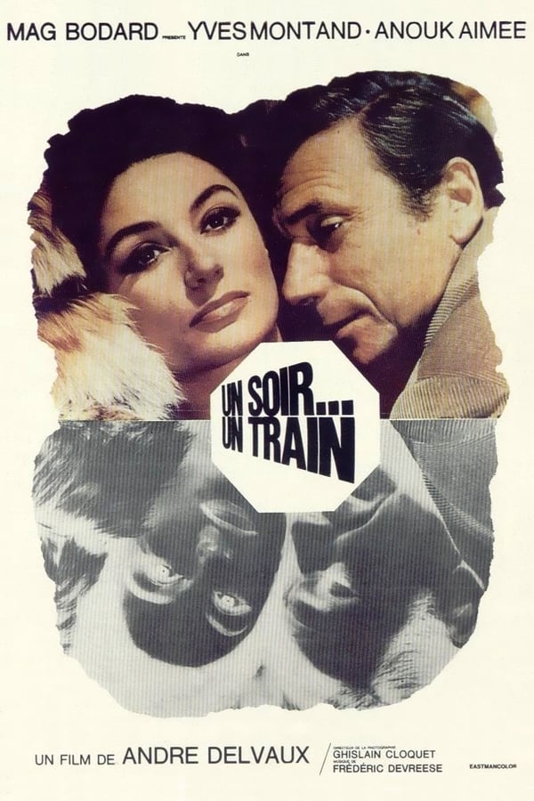 Cover of the movie One Night... a Train